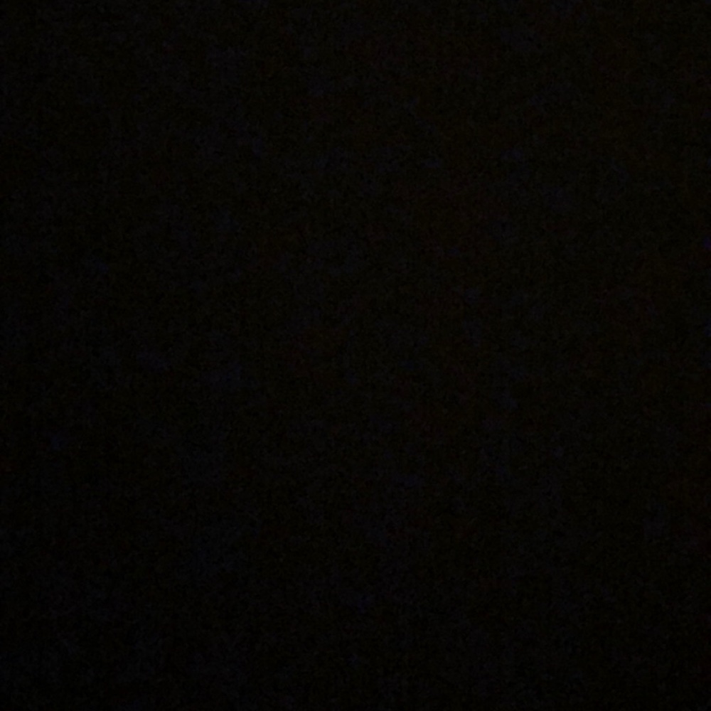 Meet your Posher, Molly